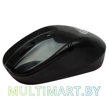 Мышь Ritmix RMW-111 картинка 2